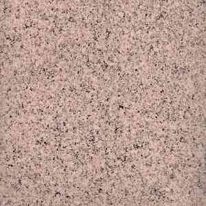 Виниловая плитка ПВХ FORBO Effekta Standard 3091T Classic Granite ST фото ##numphoto## | FLOORDEALER